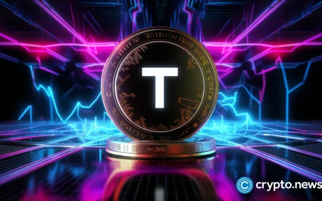 Tether CEO backs stablecoins over tokenized deposits as BIS raises risks